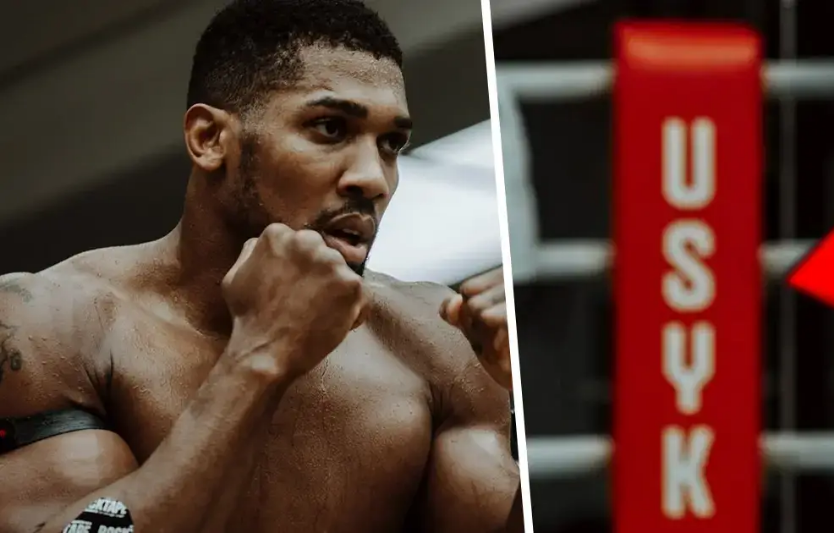 Як готується Джошуа до медійних боїв: вплив шоу-боксу та хайпу на прогнозування результатів 